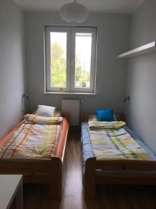 Apartament Muszelka