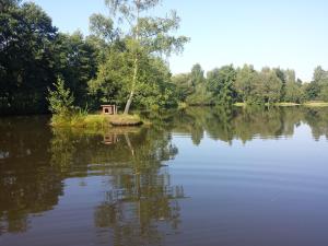 Apartment Winterberg für 3 Personen, Ruhe Pur in der Natur