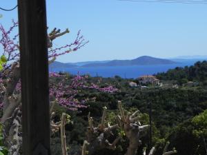 Villa Laura - Alonissos Alonissos Greece