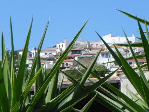 Villa Laura - Alonissos Alonissos Greece