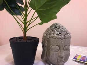 ARCADIA Жемчужина у моря C