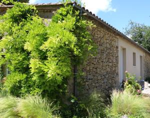 Maisons de vacances Le Domaine du Bel Air : photos des chambres