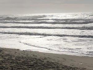 Maisons de vacances Maison climatisee 8 personnes lege cap ferret : photos des chambres