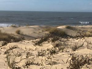 Maisons de vacances Maison climatisee 8 personnes lege cap ferret : photos des chambres