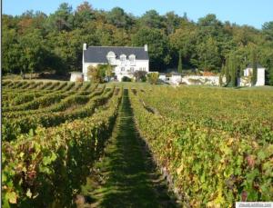 Domaine Beauséjour