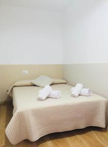 Vedruna Imperial Tarraco