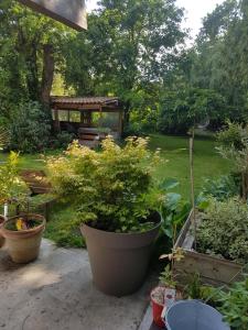 Maison Lucilda photo 21