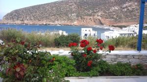 Flora's Apartments Naxos Greece