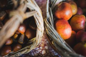 Agriturismo Barbagia