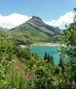 Chalet de Roselend