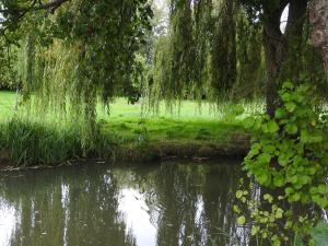 B&B / Chambres d'hotes Le Moulin De Saussaye : photos des chambres