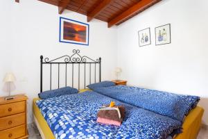 Finca La Gaviota - Las Flores