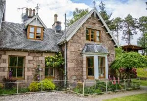 Ptarmigan - 阿维莫尔