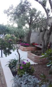 Il Lentischio holiday home img57