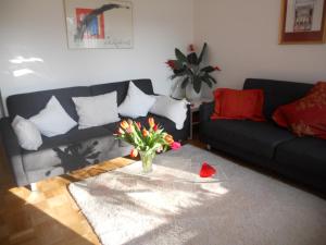 Ferienwohnung in Bonn