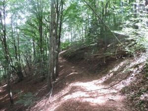 Maisons de vacances Se reconnecter a la nature au gite 3 etoiles de Montager a Saint Andre de Chalencon : photos des chambres