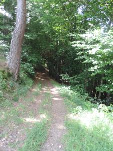 Maisons de vacances Se reconnecter a la nature au gite 3 etoiles de Montager a Saint Andre de Chalencon : photos des chambres