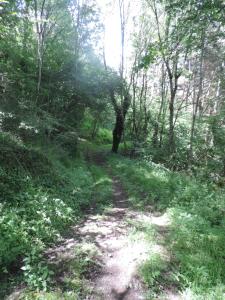 Maisons de vacances Se reconnecter a la nature au gite 3 etoiles de Montager a Saint Andre de Chalencon : photos des chambres