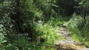 Maisons de vacances Se reconnecter a la nature au gite 3 etoiles de Montager a Saint Andre de Chalencon : photos des chambres