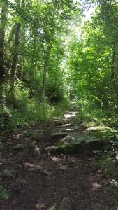 Maisons de vacances Se reconnecter a la nature au gite 3 etoiles de Montager a Saint Andre de Chalencon : photos des chambres