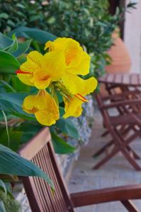 Ino Village Hotel Samos Greece