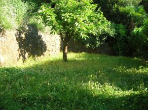 Apartment room in Vacation Home Lucija