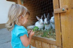 Kinderbauernhof Salmanner