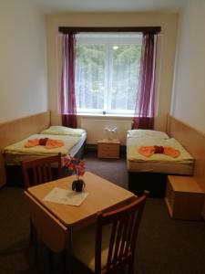 Family Suite room in Hotel u Pralesa