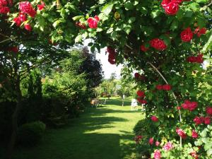 Hajnalka vendégház