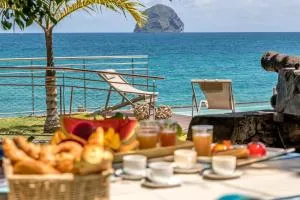 La Sirene du Diamant, villa de luxe sur la plage,18 personnes - 莱特鲁瓦西莱