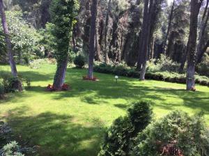 Beautiful summerhouse in Sani's pine forest Halkidiki Greece