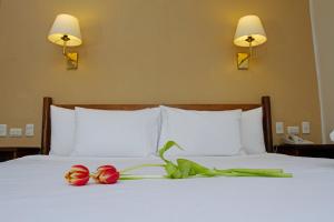 La Hacienda Bahia Paracas