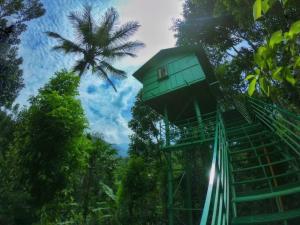 Hotels Munnar Best Places Stay Munnar
