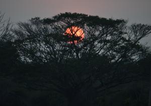 Lavish Eco Jungle - 3hvězdičkové hotely ve městě Tissamaharama