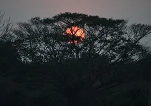 奢华生态丛林酒店 - Weerawila