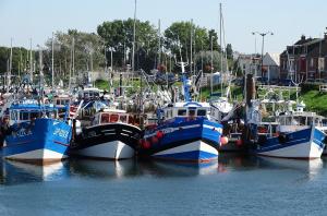 Appart'hotels Voiles et Terrasses Le Treport : photos des chambres