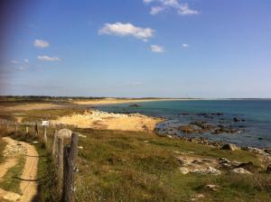 Appartements Le Jardin Fleuri : photos des chambres