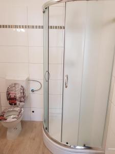 Studio Apartment Matija