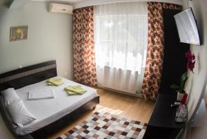 Vila Raluca