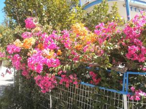 Seaview self catering apartment - Helen No 1 Arkadia Greece