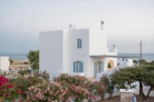 Naxian Resort Naxos Greece