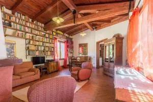 Abba Arrubia - Camisa