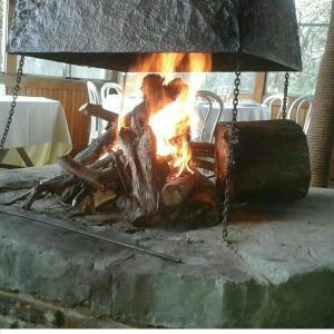 Las Casuarinas del Rio Capitan