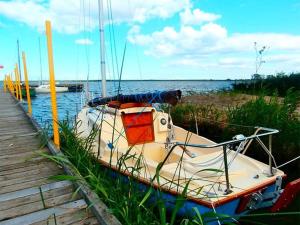 Agroturystyka Bogusław X