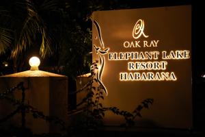 Oak Ray Elephant Lake