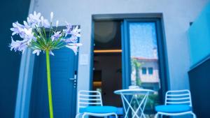 Costa Domus Blue Luxury Apartments Halkidiki Greece