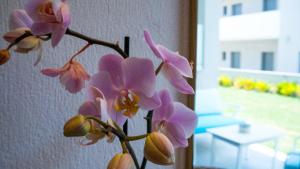 Costa Domus Blue Luxury Apartments Halkidiki Greece