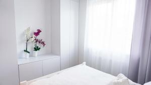 Apartament Olimp