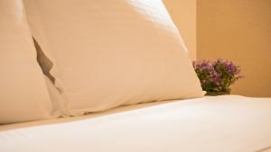 Costa Domus Blue Luxury Apartments Halkidiki Greece