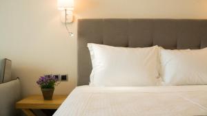 Costa Domus Blue Luxury Apartments Halkidiki Greece